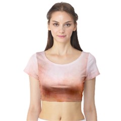 Ombre Short Sleeve Crop Top by ValentinaDesign