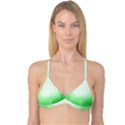 Ombre Reversible Tri Bikini Top View1