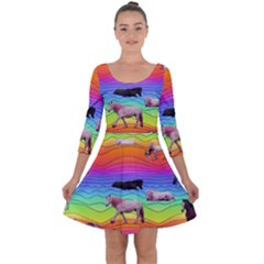 Horses In Rainbow Quarter Sleeve Skater Dress