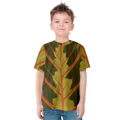 Amaranthus Kids  Cotton Tee by DeneWestUK