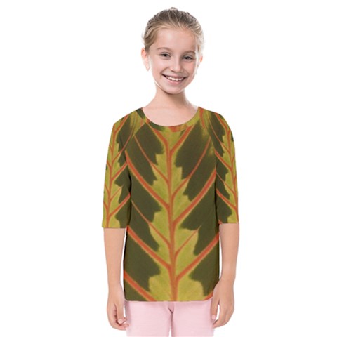 Amaranthus Kids  Quarter Sleeve Raglan Tee by DeneWestUK