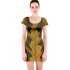 Amaranthus Short Sleeve Bodycon Dress by DeneWestUK