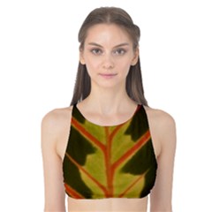 Amaranthus Tank Bikini Top by DeneWestUK