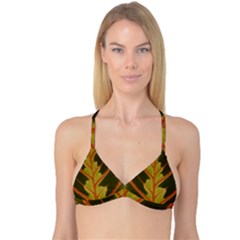 Amaranthus Reversible Tri Bikini Top by DeneWestUK