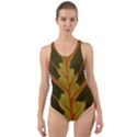 Amaranthus Cut-Out Back One Piece Swimsuit View1