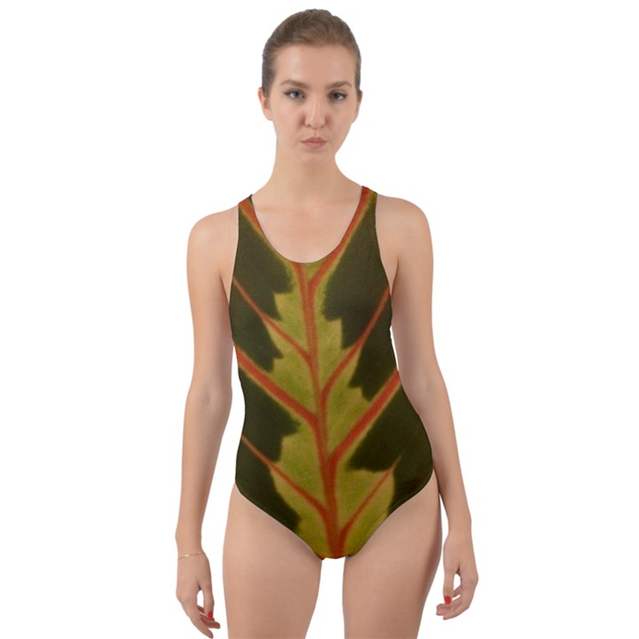 Amaranthus Cut-Out Back One Piece Swimsuit