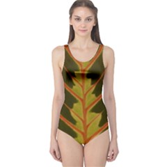 Amaranthus One Piece Swimsuit by DeneWestUK