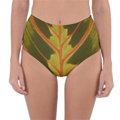 Amaranthus Reversible High-waist Bikini Bottoms by DeneWestUK