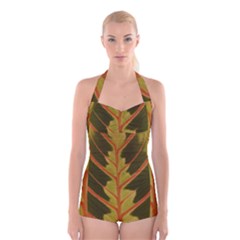 Amaranthus Boyleg Halter Swimsuit  by DeneWestUK