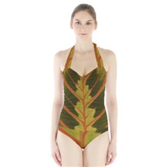 Amaranthus Halter Swimsuit by DeneWestUK