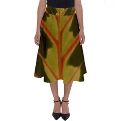 Amaranthus Perfect Length Midi Skirt by DeneWestUK