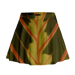 Amaranthus Mini Flare Skirt by DeneWestUK