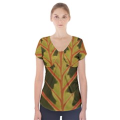 Amaranthus Short Sleeve Front Detail Top by DeneWestUK