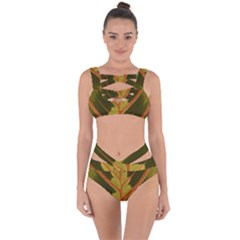 Amaranthus Bandaged Up Bikini Set  by DeneWestUK