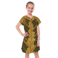 Amaranthus Kids  Drop Waist Dress by DeneWestUK