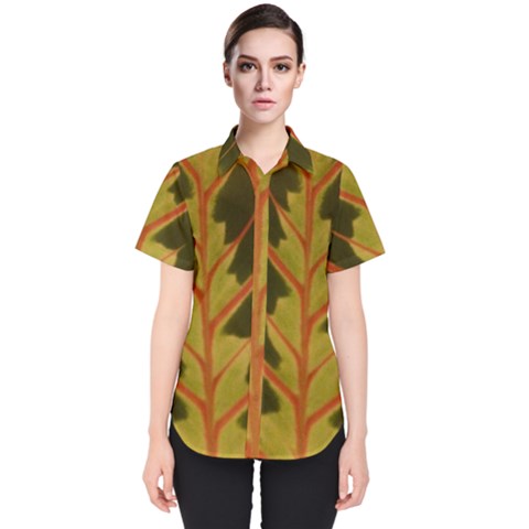 Amaranthus Women s Short Sleeve Shirt by DeneWestUK