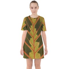 Amaranthus Sixties Short Sleeve Mini Dress by DeneWestUK