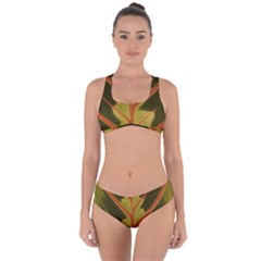 Amaranthus Criss Cross Bikini Set by DeneWestUK