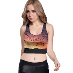 Sunset Dusk Silhouette Sky Birds Racer Back Crop Top by Celenk