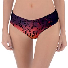 Sunset Dusk Silhouette Sky Birds Reversible Classic Bikini Bottoms by Celenk