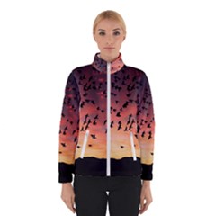 Sunset Dusk Silhouette Sky Birds Winterwear by Celenk