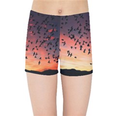 Sunset Dusk Silhouette Sky Birds Kids Sports Shorts by Celenk