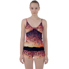 Sunset Dusk Silhouette Sky Birds Tie Front Two Piece Tankini by Celenk