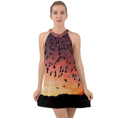 Sunset Dusk Silhouette Sky Birds Halter Tie Back Chiffon Dress