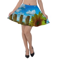 Sunflower Summer Sunny Nature Velvet Skater Skirt by Celenk