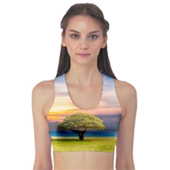 Tree Sea Grass Nature Ocean Sports Bra by Celenk