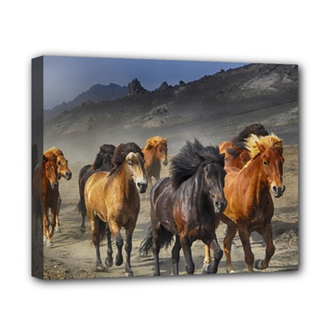 Horses Stampede Nature Running Canvas 10  X 8  by Celenk