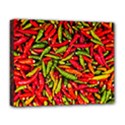 Chilli Pepper Spicy Hot Red Spice Deluxe Canvas 20  x 16   View1