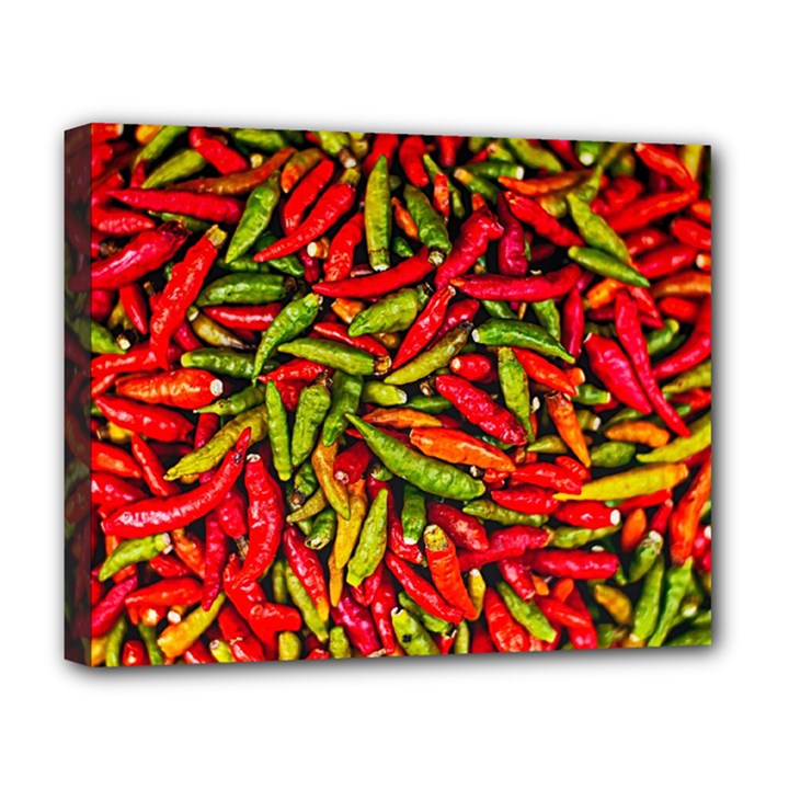 Chilli Pepper Spicy Hot Red Spice Deluxe Canvas 20  x 16  