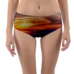 Countryside Landscape Nature Rural Reversible Mid-waist Bikini Bottoms