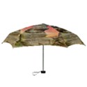 Rocks Landscape Sky Sunset Nature Mini Folding Umbrellas View3