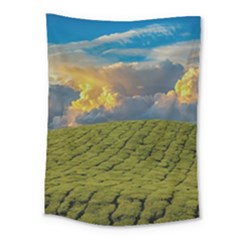 Sunrise Hills Landscape Nature Sky Medium Tapestry