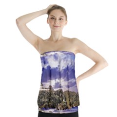 Mountain Snow Landscape Winter Strapless Top by Celenk