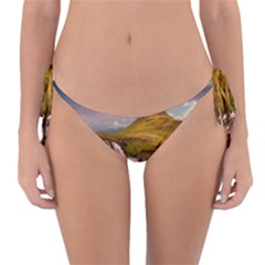 Nature Mountains Cliff Waterfall Reversible Bikini Bottom