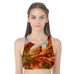 Canyon Desert Rock Scenic Nature Tank Bikini Top by Celenk