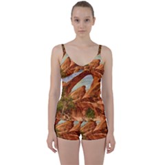 Canyon Desert Rock Scenic Nature Tie Front Two Piece Tankini by Celenk