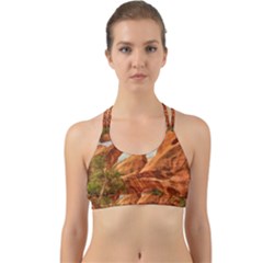 Canyon Desert Rock Scenic Nature Back Web Sports Bra by Celenk