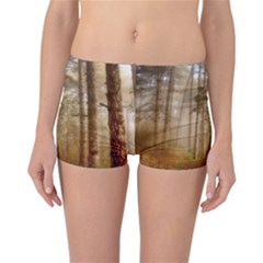 Forest Trees Wood Branc Reversible Boyleg Bikini Bottoms by Celenk