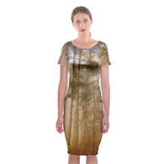 Forest Trees Wood Branc Classic Short Sleeve Midi Dress by Celenk