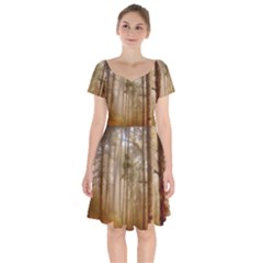 Forest Trees Wood Branc Short Sleeve Bardot Dress by Celenk