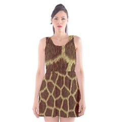 Background Texture Giraffe Scoop Neck Skater Dress by Celenk