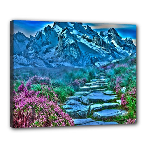 Pathway Nature Landscape Outdoor Canvas 20  X 16  by Celenk