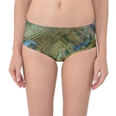 Rice Field China Asia Rice Rural Mid-waist Bikini Bottoms by Celenk