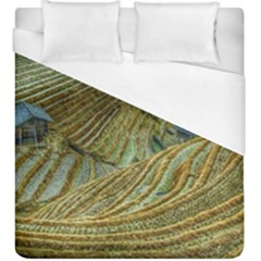 Rice Field China Asia Rice Rural Duvet Cover (king Size)