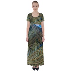 Rice Field China Asia Rice Rural High Waist Short Sleeve Maxi Dress