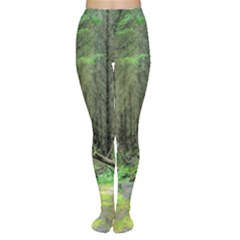 Forest Woods Nature Landscape Tree Women s Tights